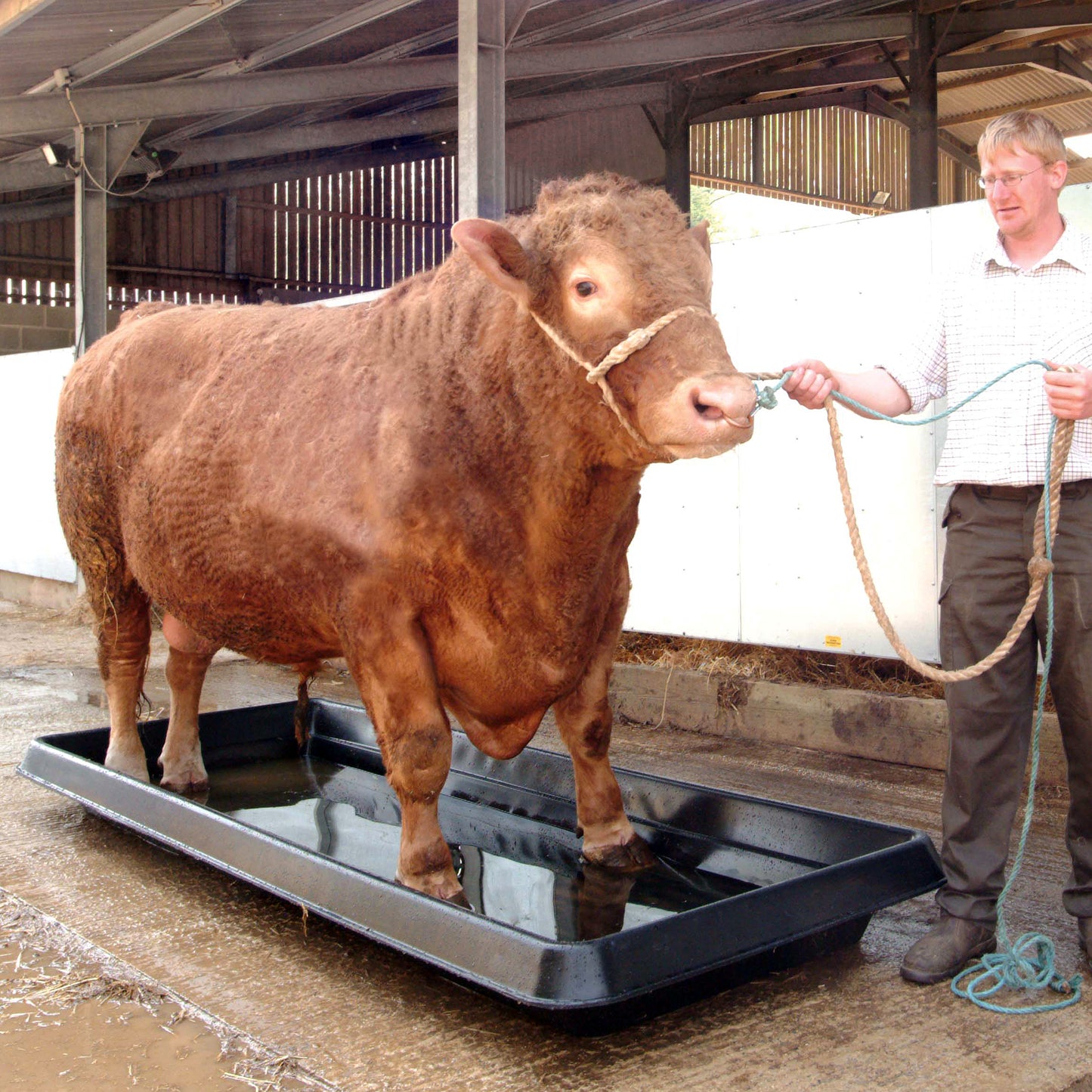 Paxton FB3 3m Rectangular Cattle Footbath - 541 Litres