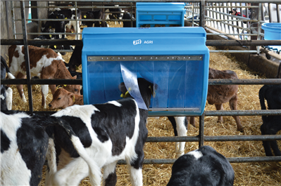 JFC CF80 Mini Creep Gate Feeder