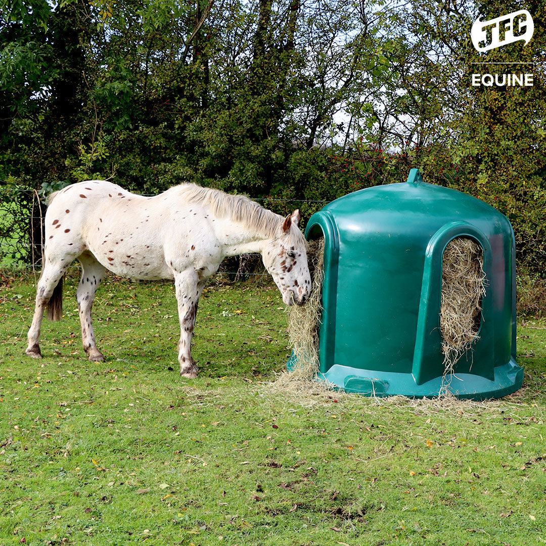 JFC Haybells: A Tasty Treat for Your Furry Friends - Everything You Need to Know!