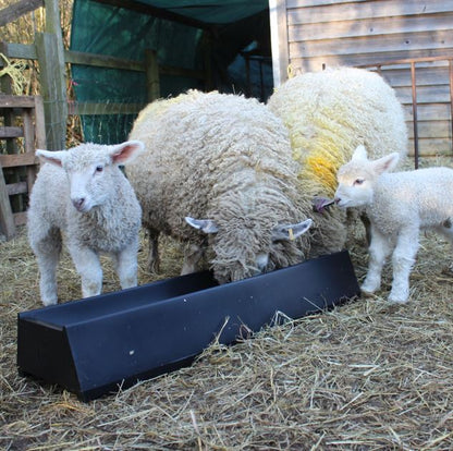 Paxton LF100 1M Sheep Feeding Trough - 16 Litres