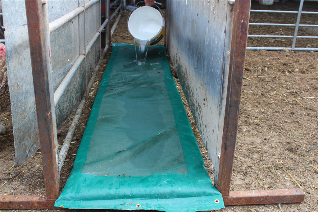 JFC FBF01 Foot bath Foam for Sheep