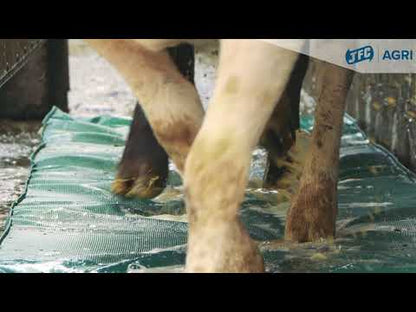 JFC FBF01 Foot bath Foam for Sheep